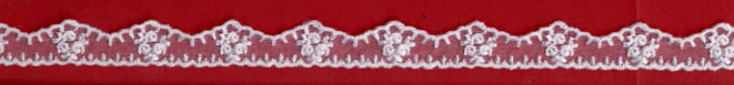 <font color="red">IN STOCK</font><br>9/16" Rayon Sheer Embroidery Edge-White